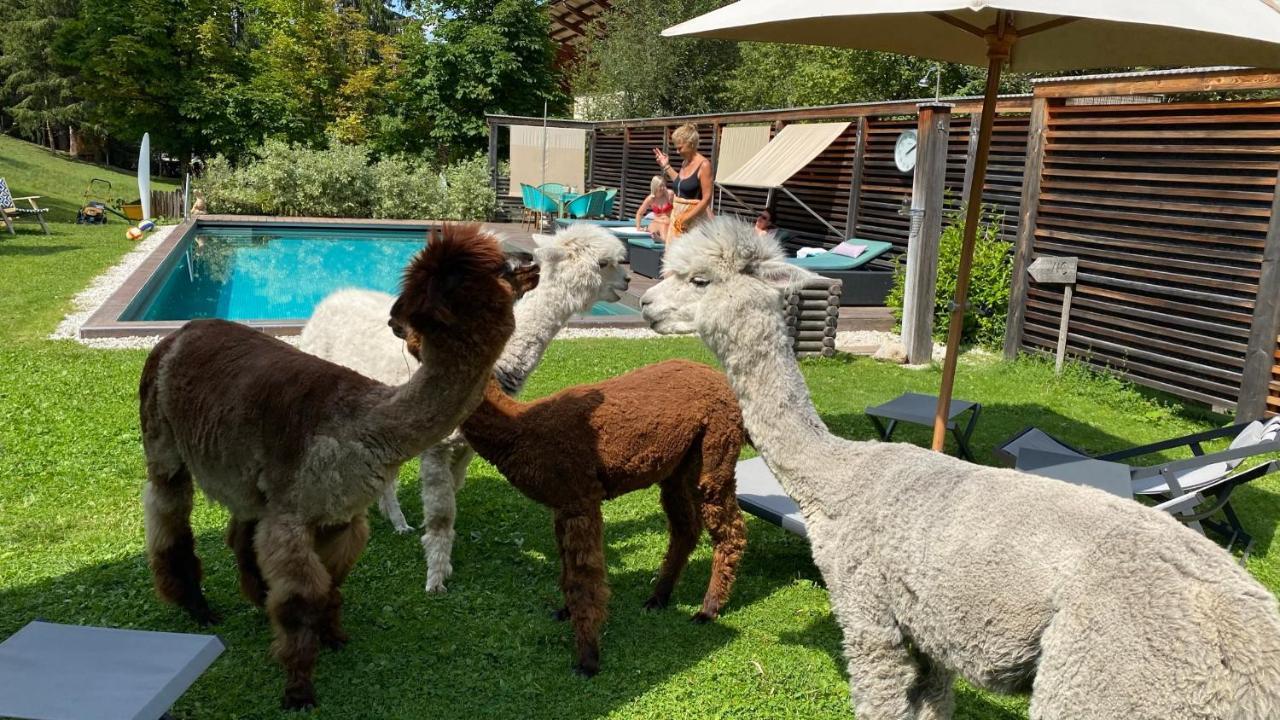 Dolomit Boutique Hotel La Villa  Luaran gambar